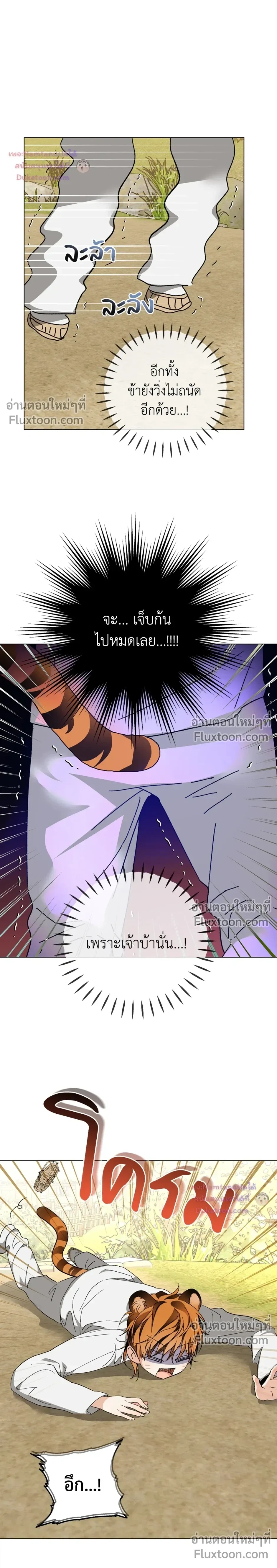 หน้าที่ 24