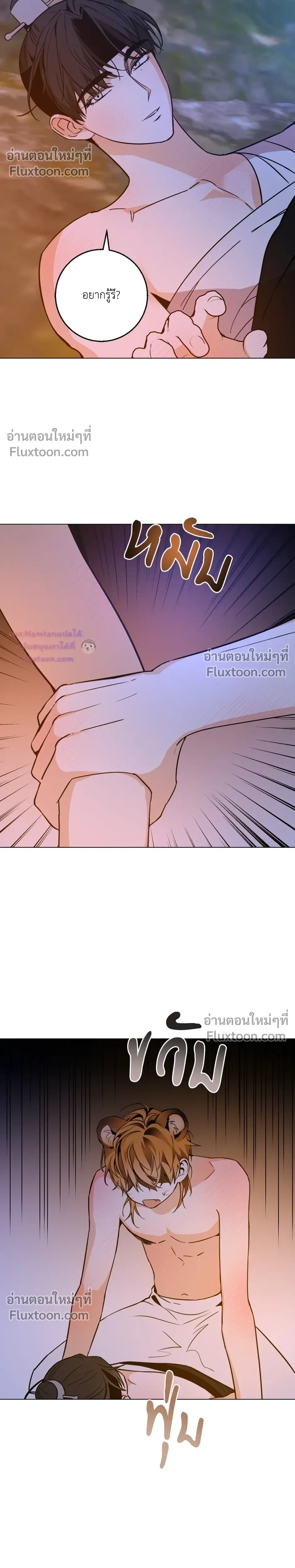 หน้าที่ 11