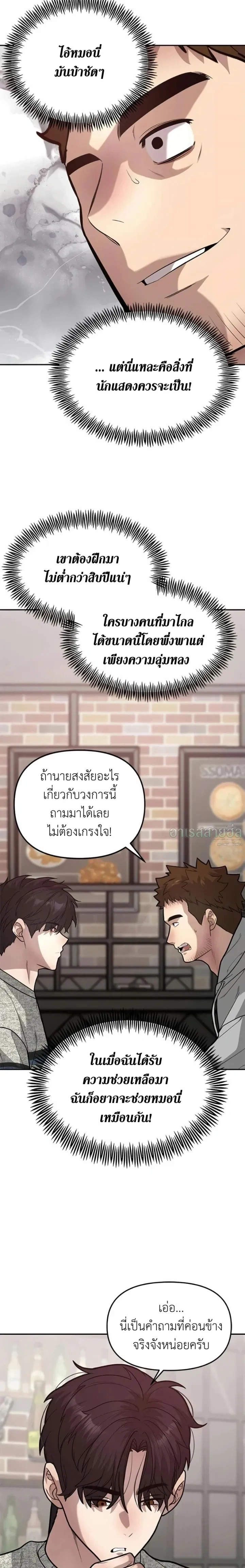 หน้าที่ 13