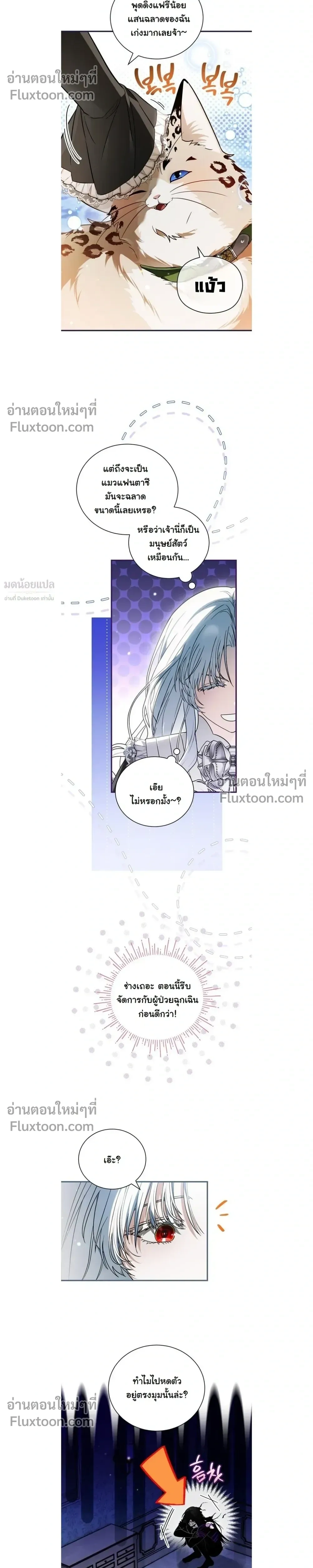 หน้าที่ 13