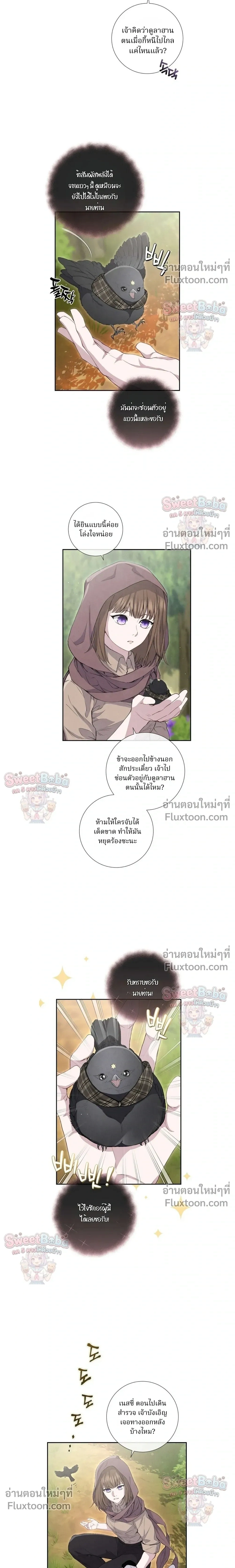 หน้าที่ 11