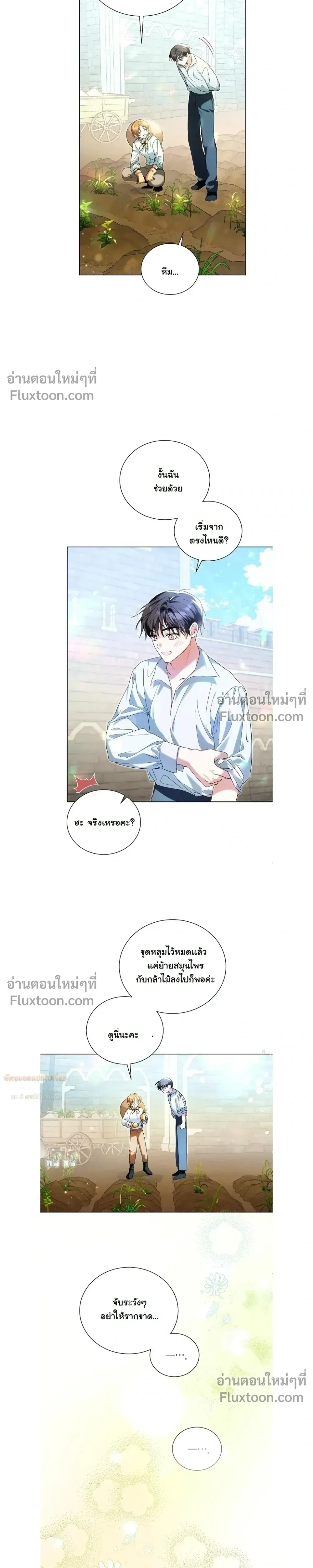 หน้าที่ 13