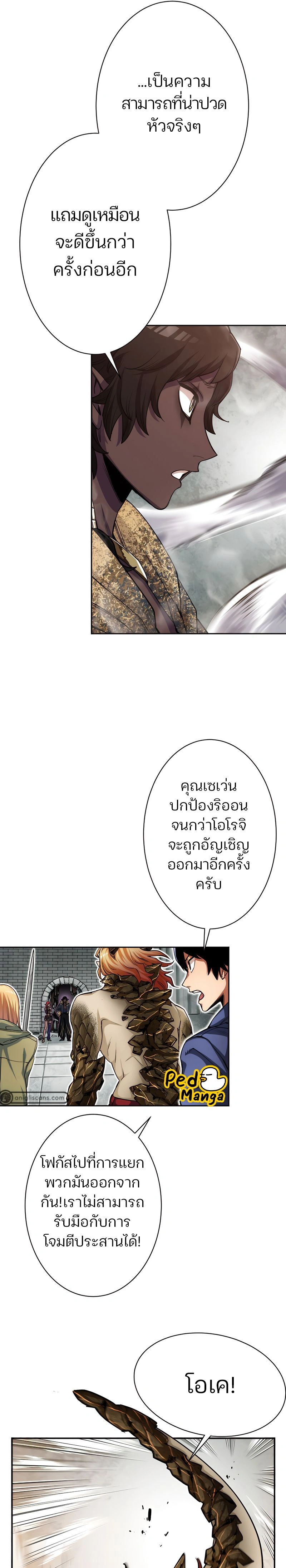 หน้าที่ 17