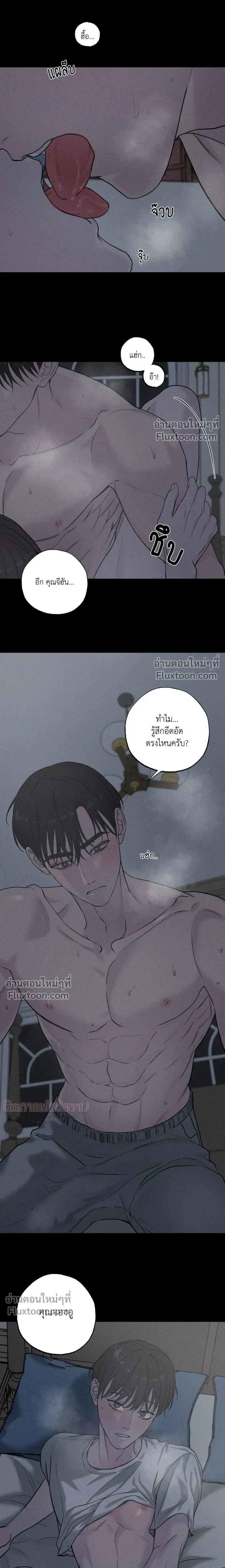 หน้าที่ 13