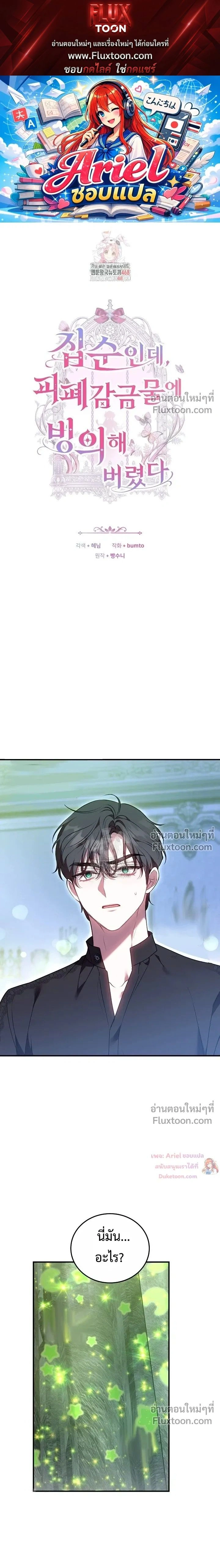 หน้าที่ 1