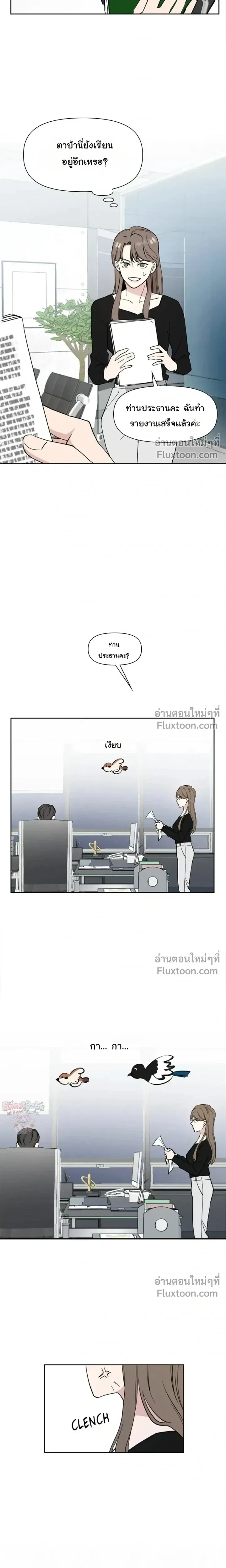 หน้าที่ 13