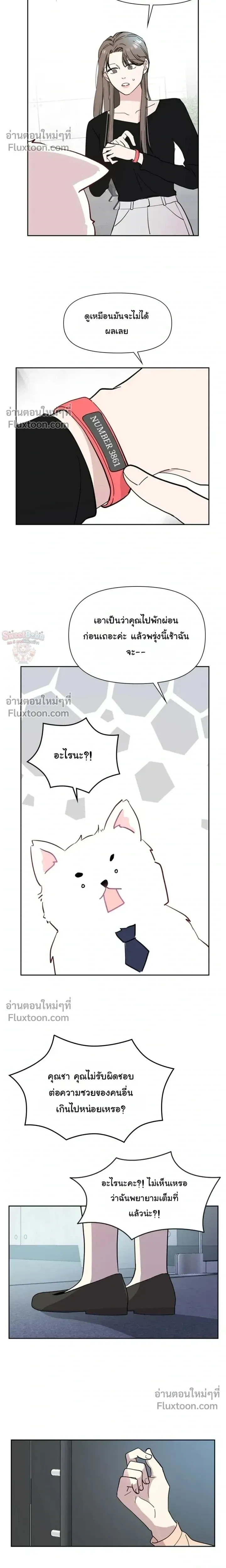 หน้าที่ 29