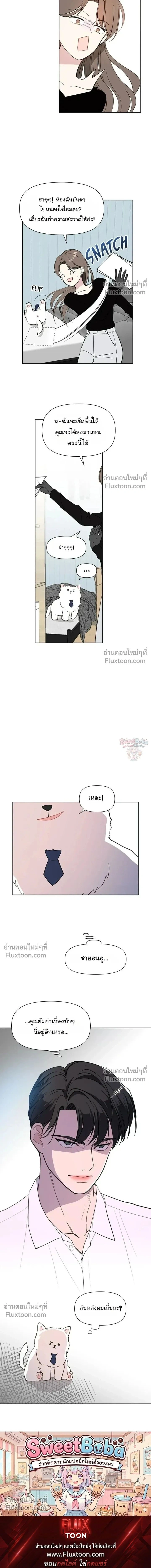 หน้าที่ 28