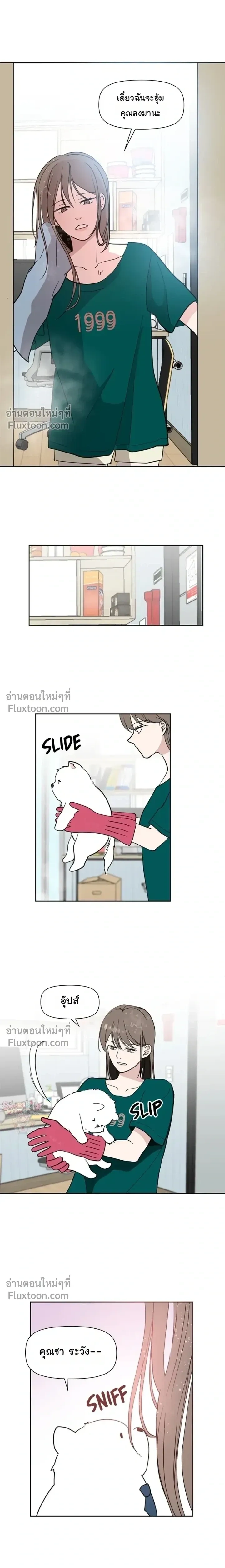 หน้าที่ 13