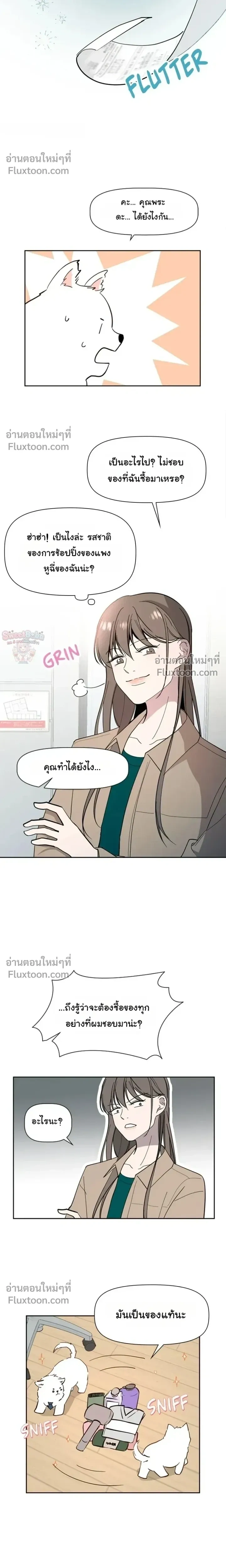 หน้าที่ 17