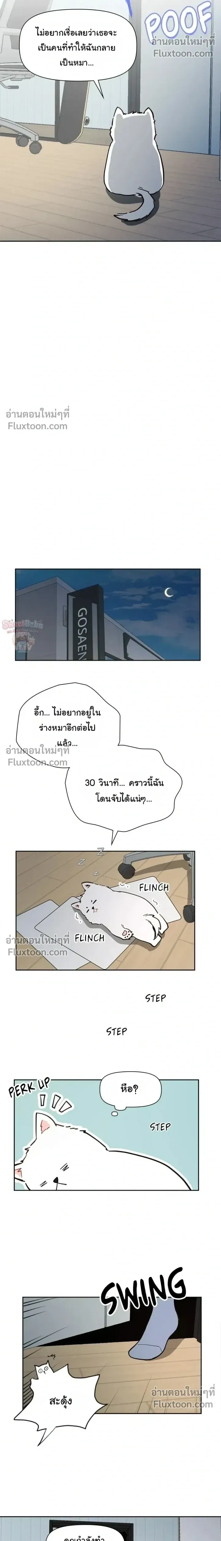 หน้าที่ 14