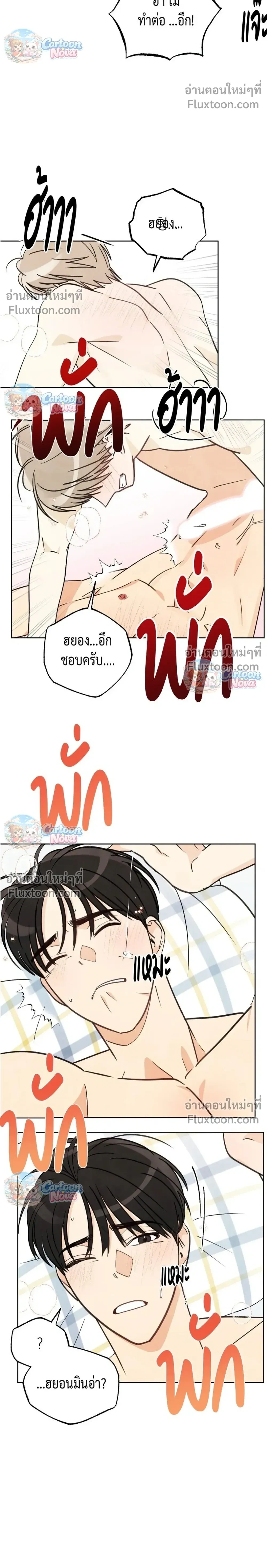 หน้าที่ 13
