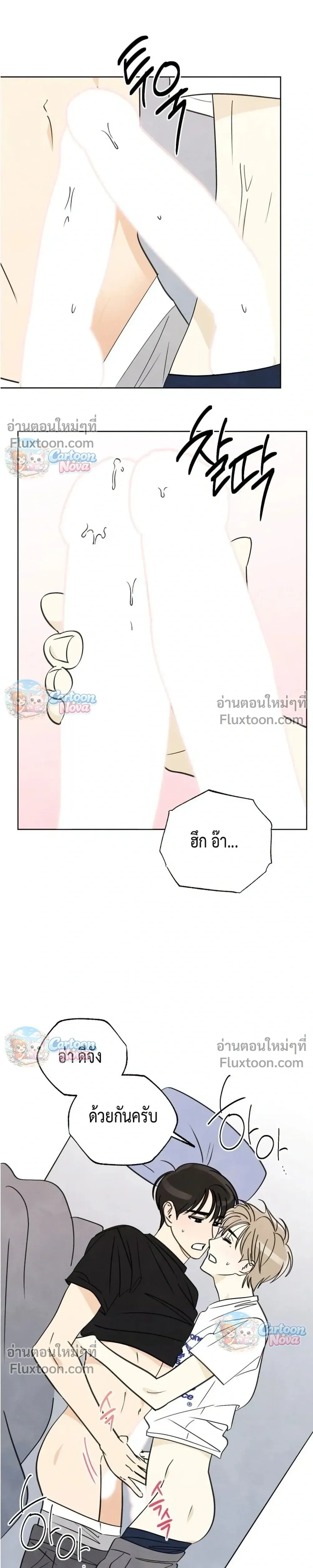หน้าที่ 19