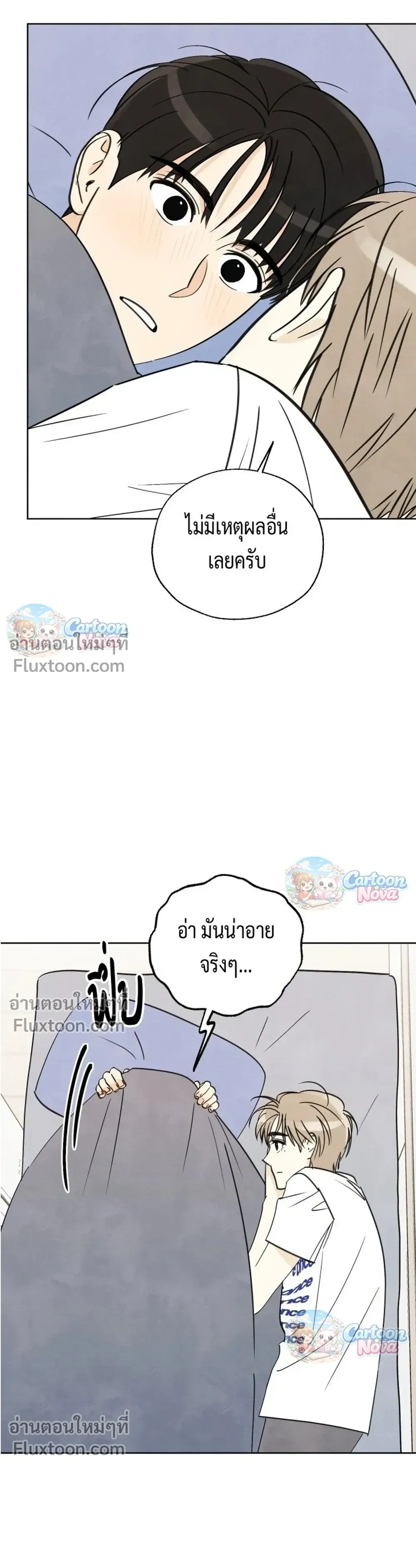 หน้าที่ 13