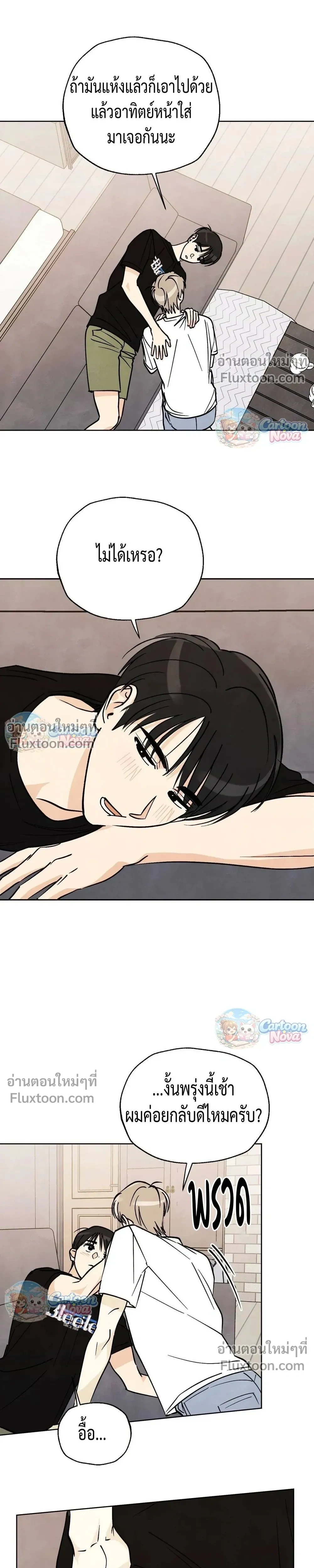 หน้าที่ 13