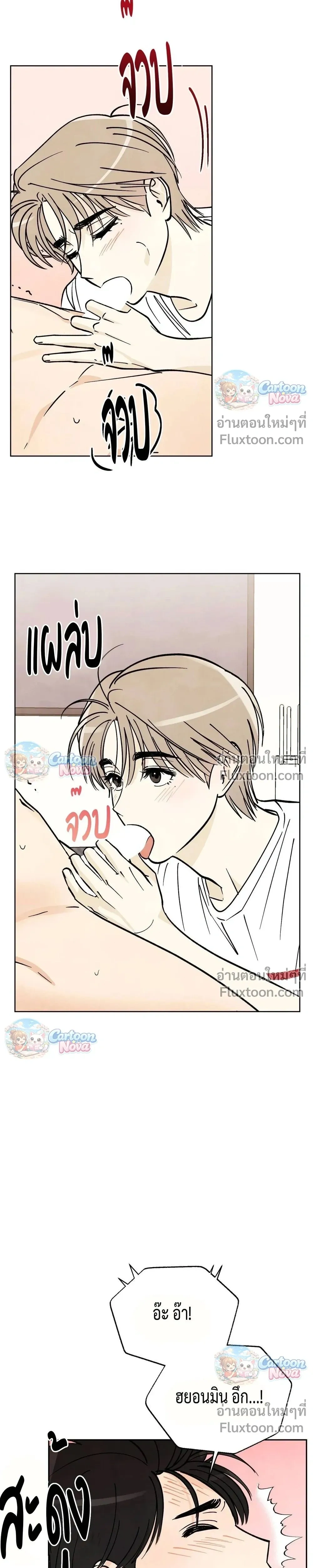 หน้าที่ 17