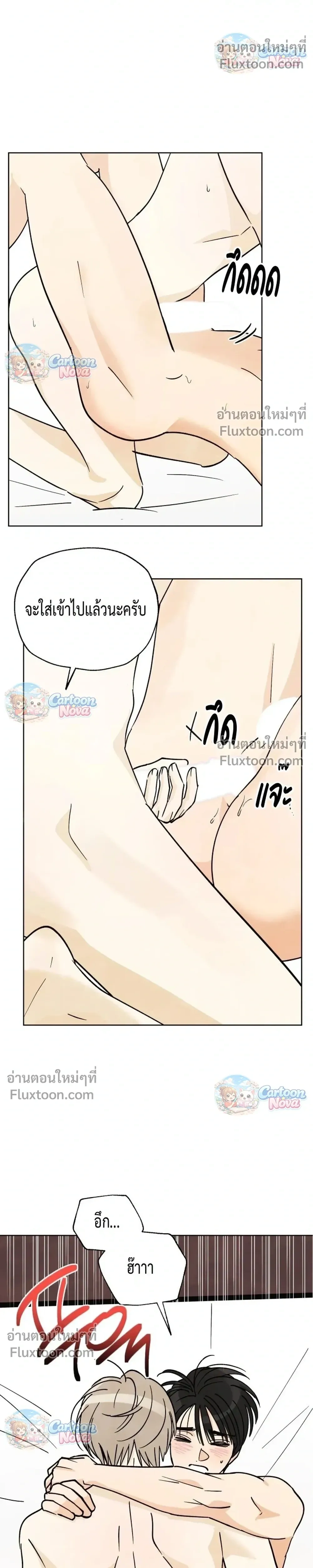หน้าที่ 17