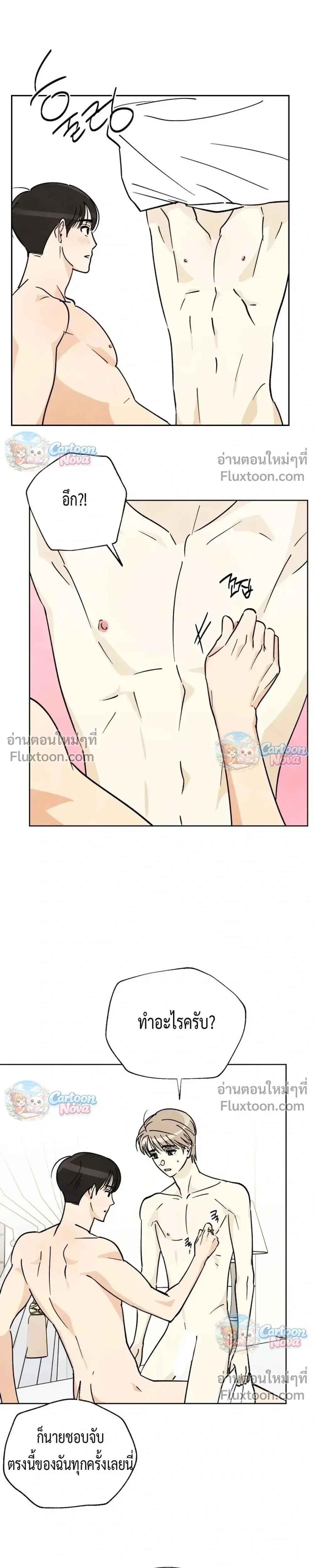 หน้าที่ 13