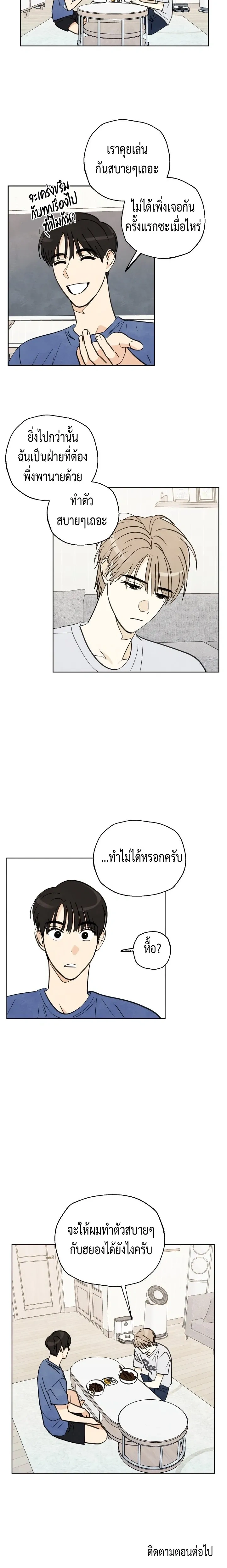หน้าที่ 13