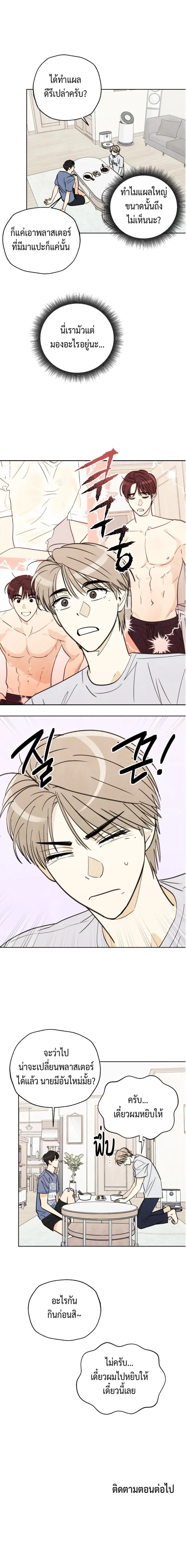 หน้าที่ 13