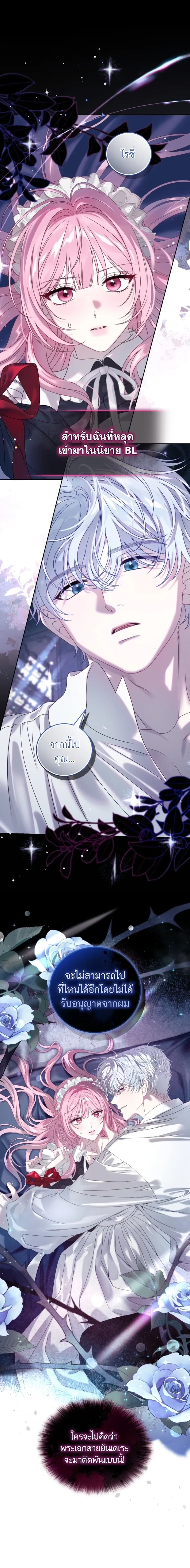 หน้าที่ 24