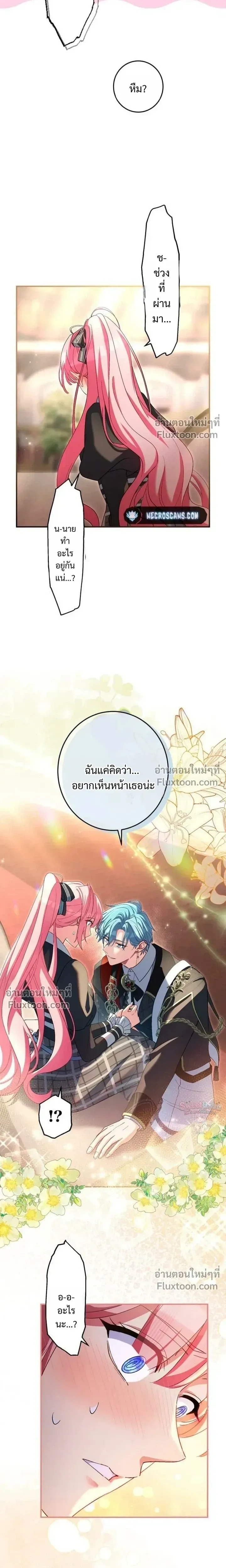 หน้าที่ 13