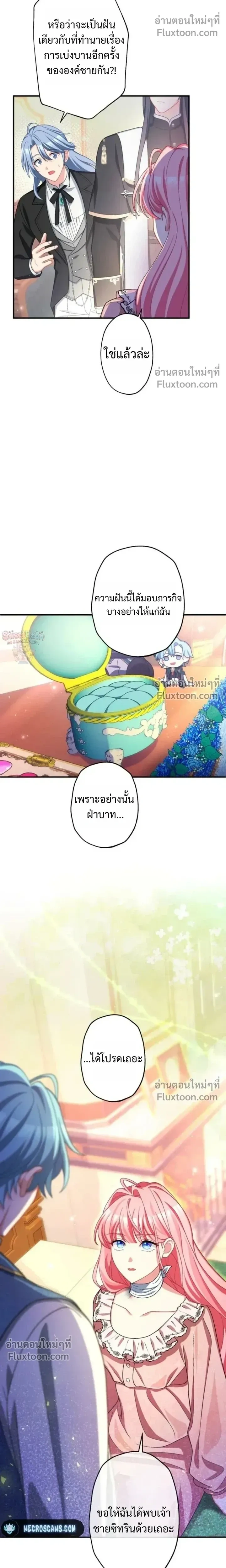 หน้าที่ 17