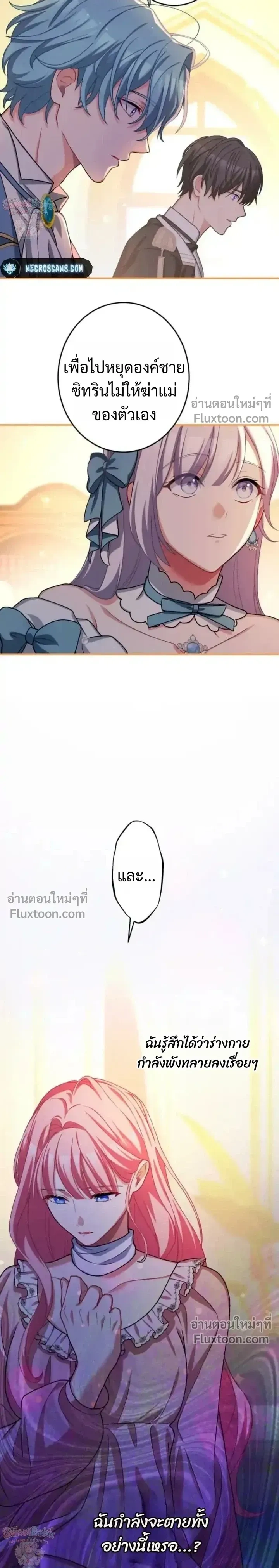 หน้าที่ 24