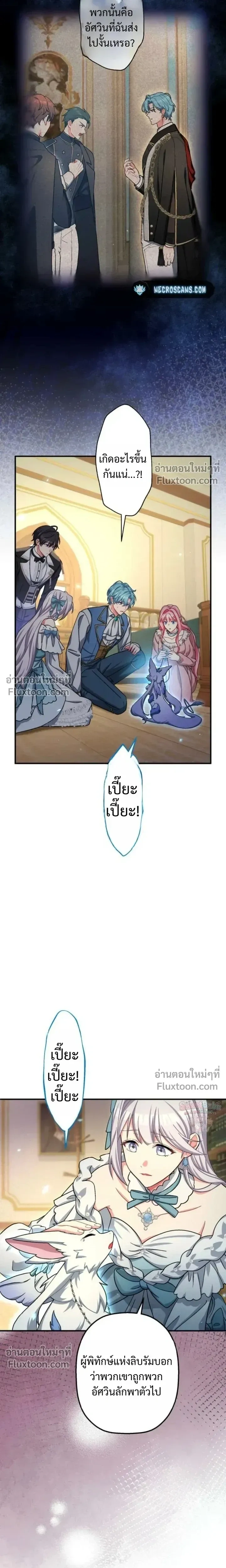 หน้าที่ 19