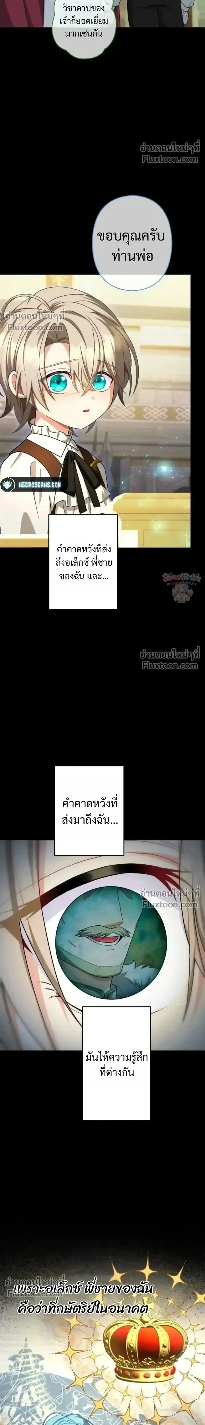 หน้าที่ 11