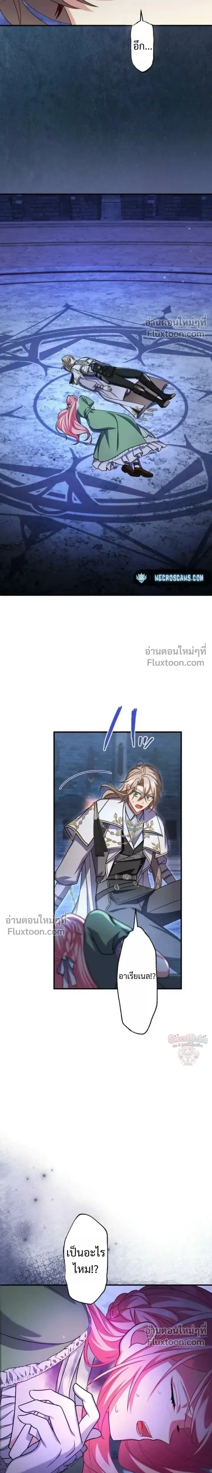 หน้าที่ 13