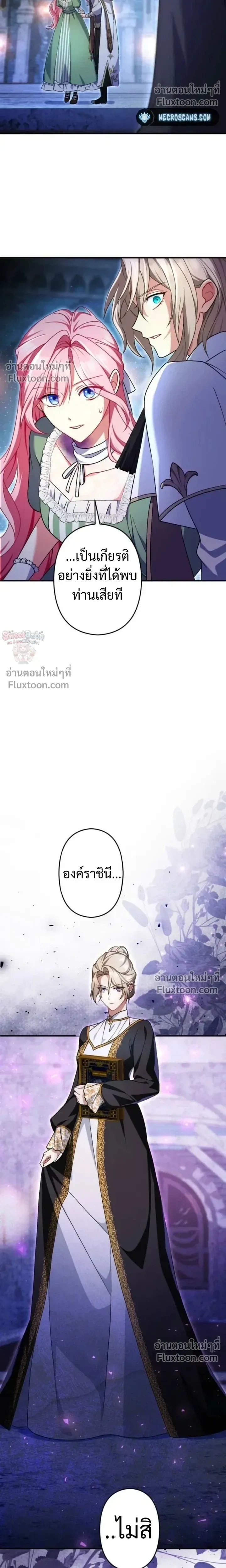หน้าที่ 17