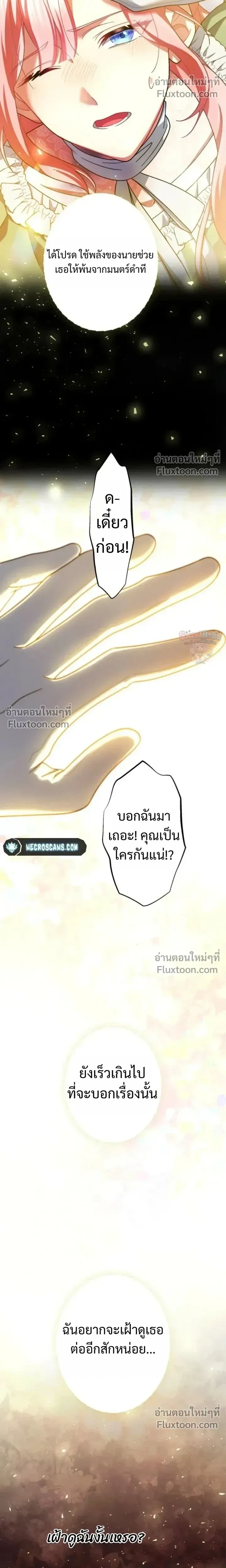 หน้าที่ 29
