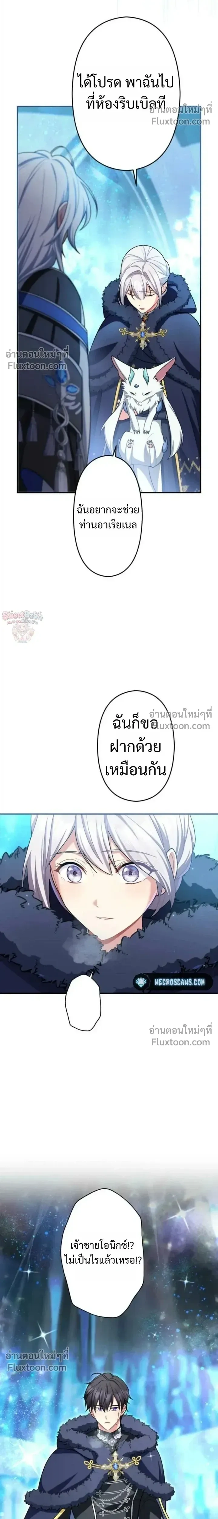 หน้าที่ 29