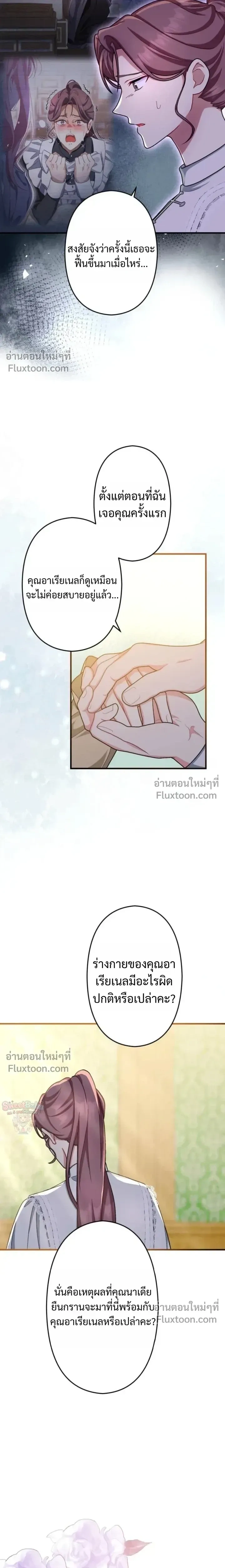 หน้าที่ 13