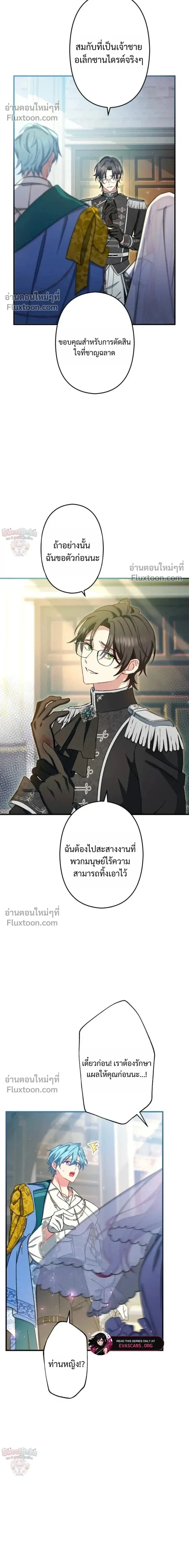 หน้าที่ 13