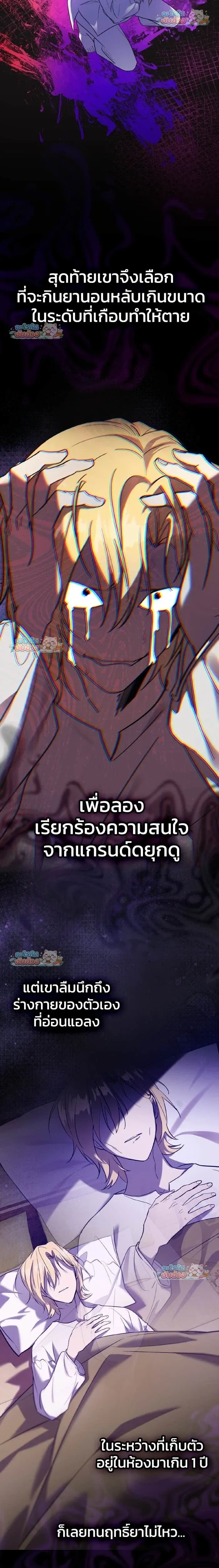 หน้าที่ 11
