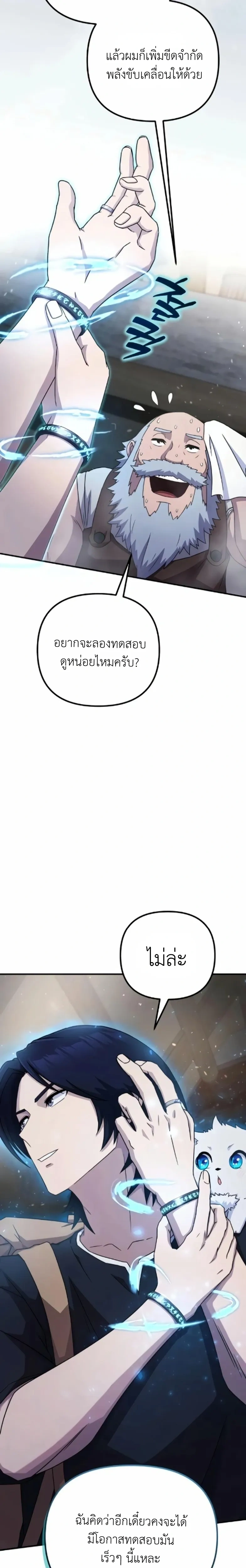 หน้าที่ 33