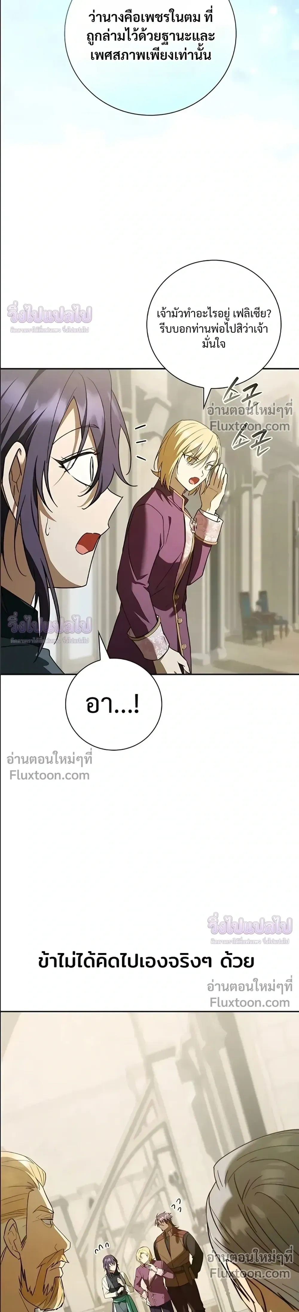 หน้าที่ 13