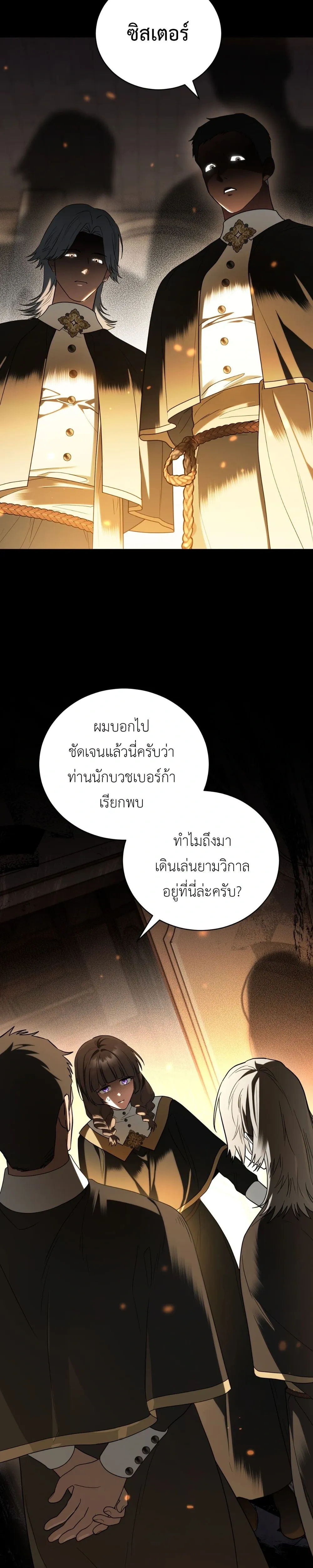 หน้าที่ 29