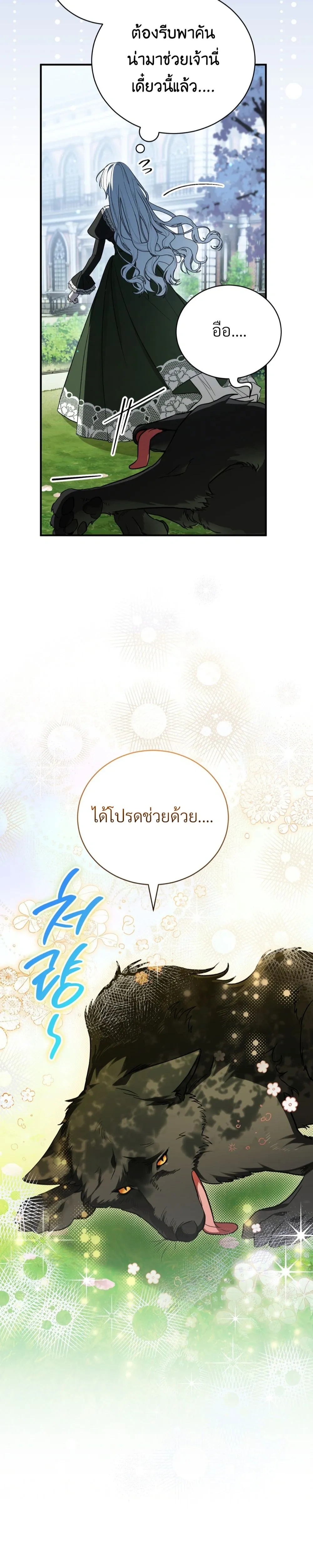 หน้าที่ 13