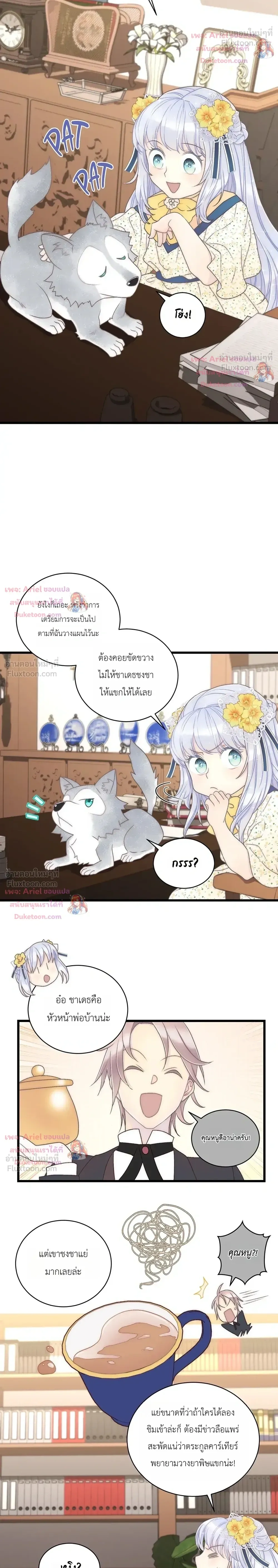 หน้าที่ 29