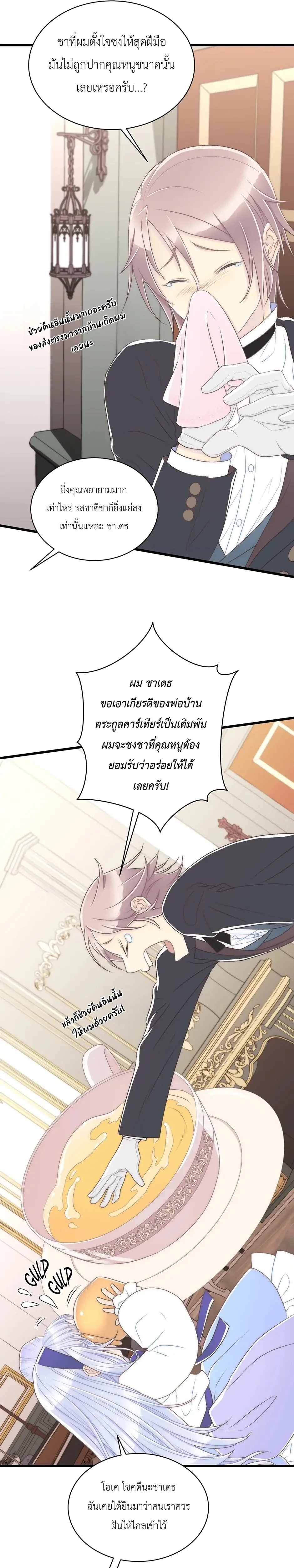 หน้าที่ 17