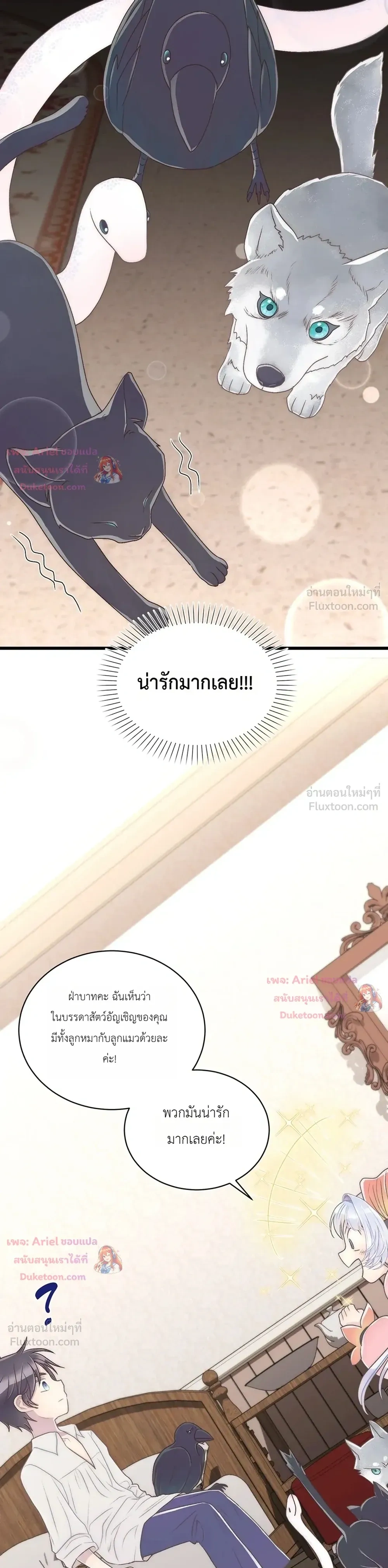 หน้าที่ 37