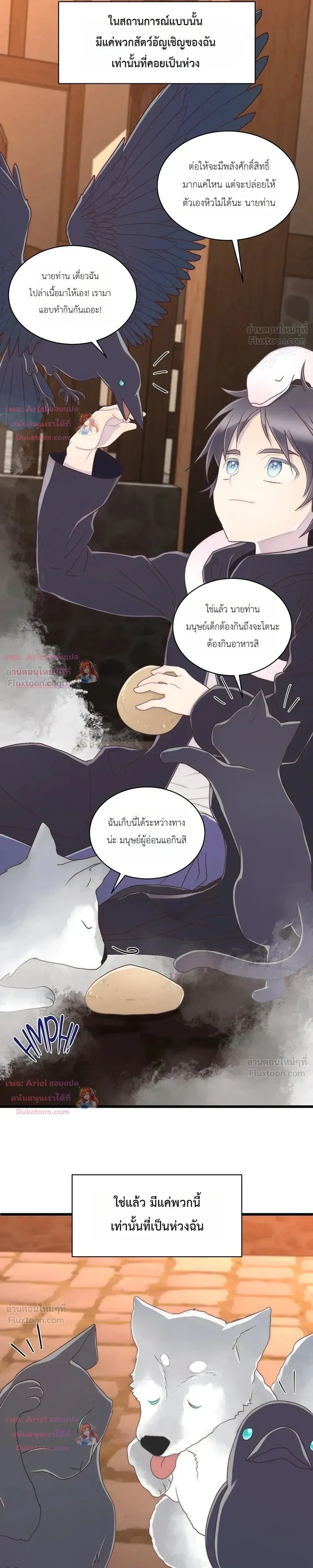หน้าที่ 24