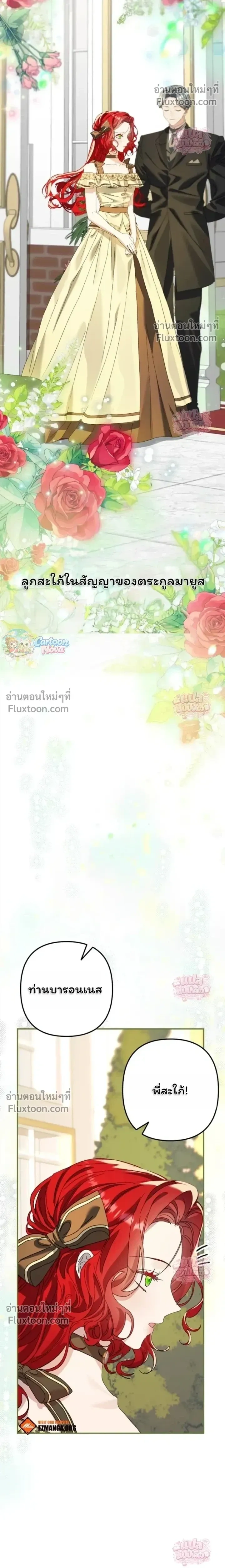 หน้าที่ 29