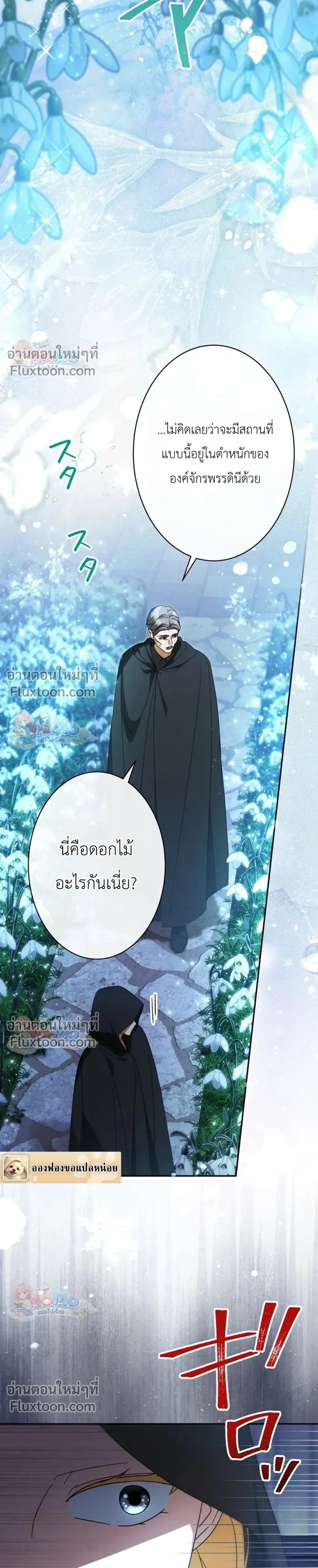 หน้าที่ 31