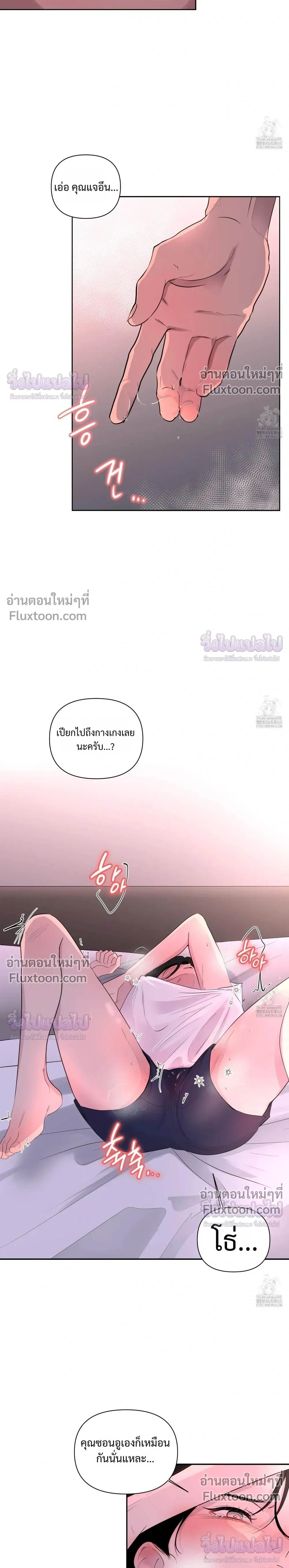 หน้าที่ 13