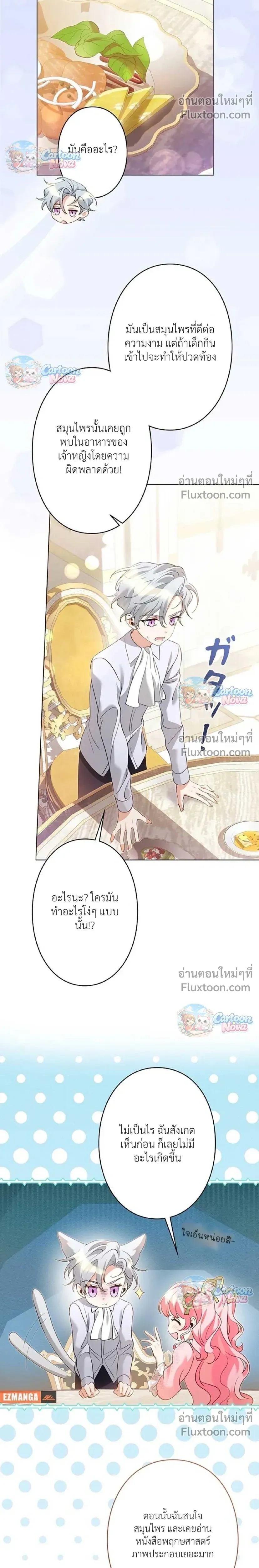 หน้าที่ 17