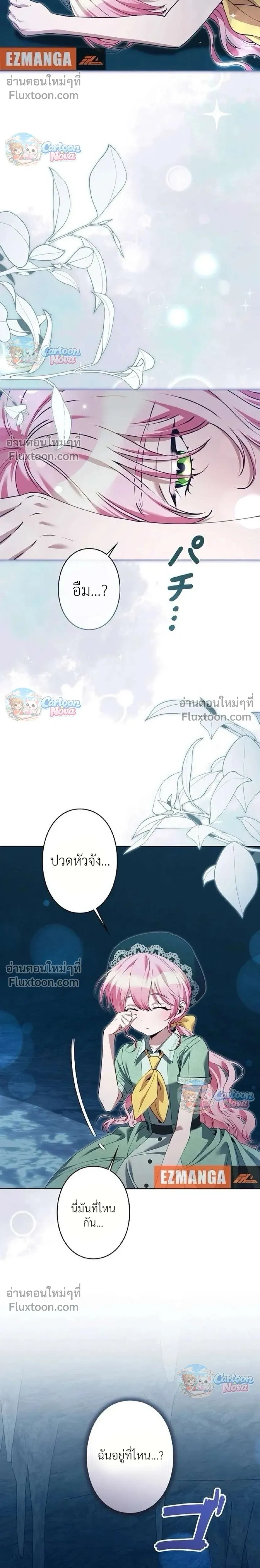 หน้าที่ 31